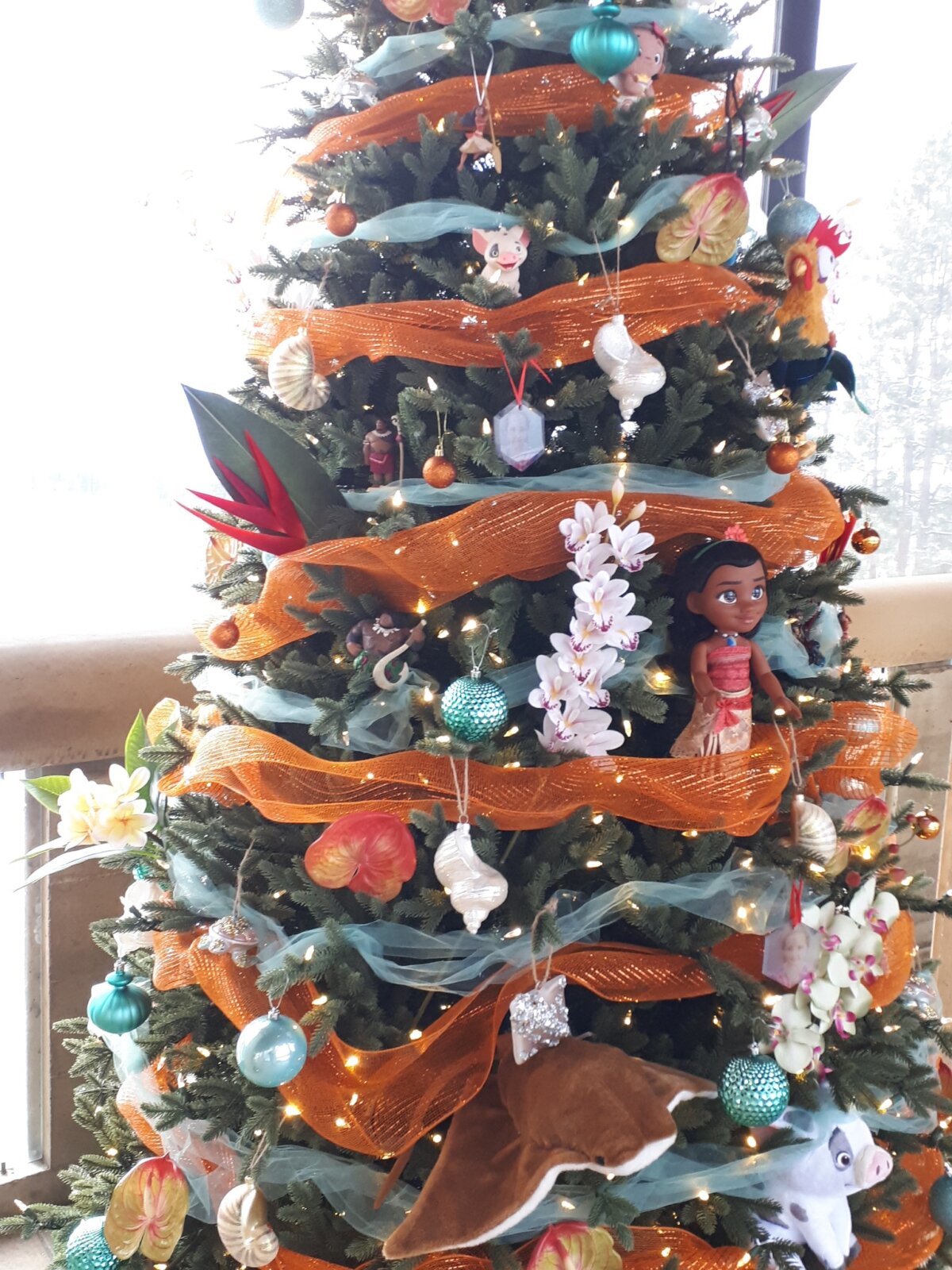 Festival of Trees West Kelowna