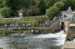 Ganaraska River Salmon Run: A Short Guide For a Fall Day Trip to Port Hope