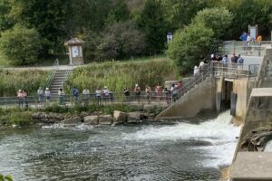 Ganaraska River Salmon Run: A Short Guide For a Fall Day Trip to Port Hope