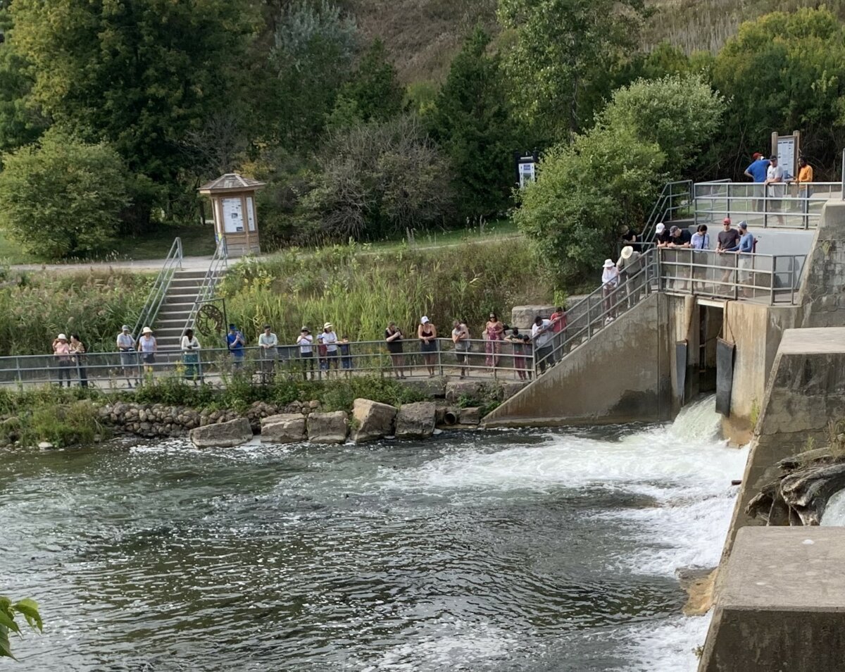 ganaraska fish ladder camera