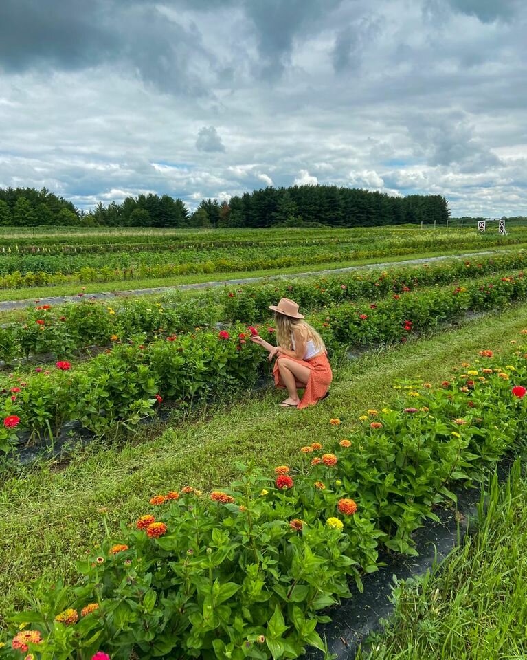 Flower Field Experience at Brantwood Farms Brantwood Farms, 251 Powerline Rd, Brantford To