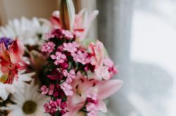 Flower and Mother’s Day Gift Delivery Options in Hamilton