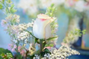 Flower and Mother’s Day Gift Delivery Options in Regina