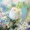 Flower and Mother’s Day Gift Delivery Options in Regina