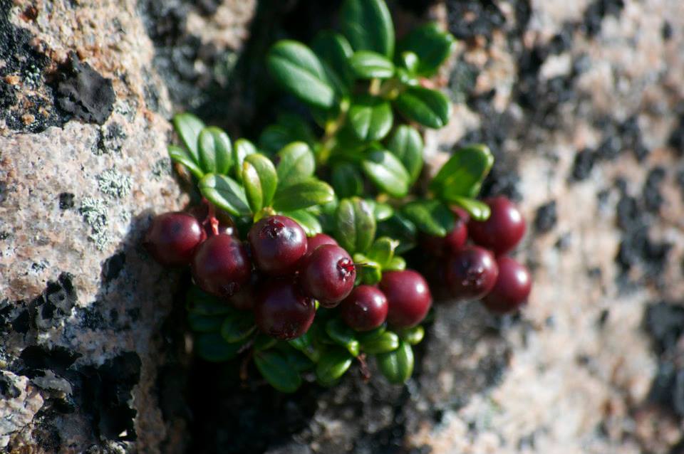 Things to Do in October in Newfoundland & Labrador