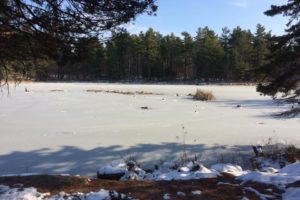 Things to Do Outdoors this Winter in Brockville and Leeds & Grenville County