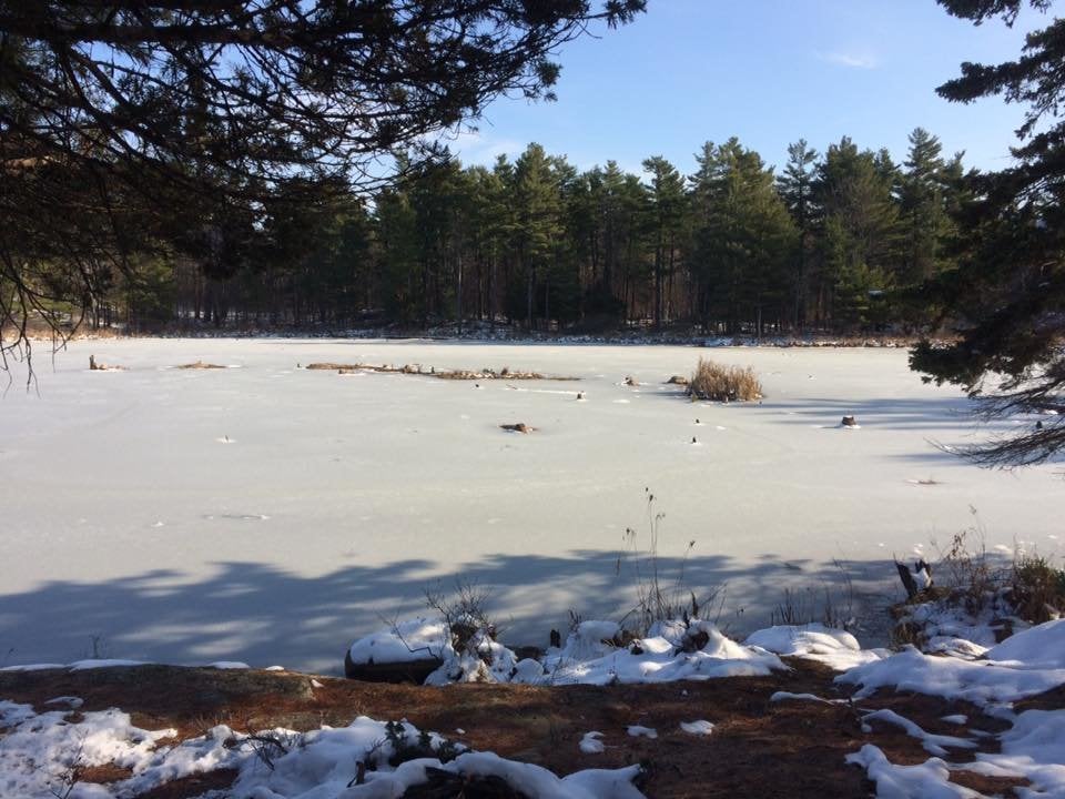 16 Things to Do in Brockville and Leeds & Grenville County in the Winter