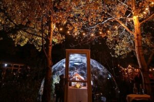 25 Date Ideas For This Fall in Calgary