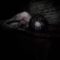 Haunted at Maan Farms