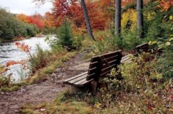 50+ Fun Things to Do This Fall in and Around Halifax Metro - 2025