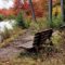 50+ Fun Things to Do This Fall in and Around Halifax Metro - 2025