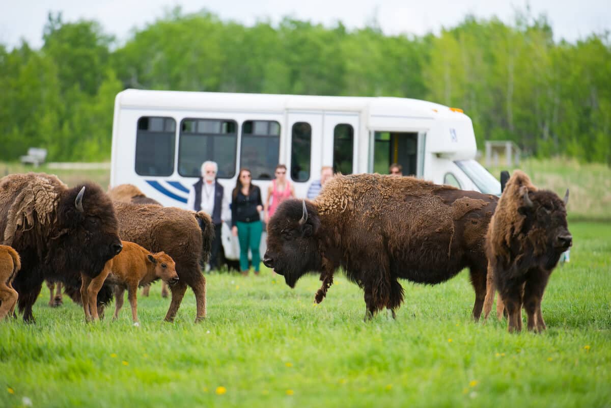 Photo Credit: Tourism-Winnipeg/Dan-Harper