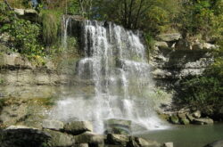 Fossil Hunt & Waterfalls: Explore the Wonders of Rock Glen Conservation Area