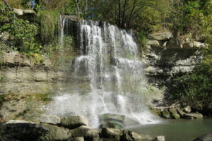 Fossil Hunt & Waterfalls: Explore the Wonders of Rock Glen Conservation Area
