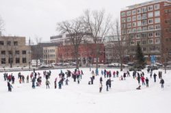 15+ Things to Do During Family Day Weekend in Fredericton