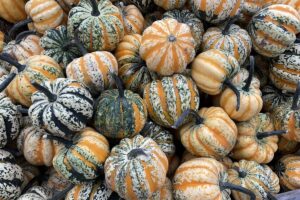Free Things to Do and Free Halloween Activities in Calgary in October - 2026