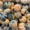 Free Things to Do and Free Halloween Activities in Calgary in October - 2026