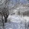 Things to Do Outdoors this Winter in and Around Cornwall