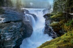 What is Open & Closed During Parks Canada Visitor Services Closure Due to COVID-19