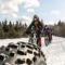 Things to Do This Winter in Fredericton - 2026 Festivals, Events & Outdoor Fun