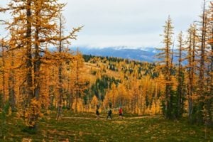 25 Fabulous Fall Walks and Hikes to Enjoy Fall Colours in Metro Vancouver