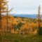 25 Fabulous Fall Walks and Hikes to Enjoy Fall Colours in Metro Vancouver