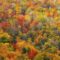 50 Fun Fall Activities in and Around London