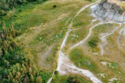 Fun Summer Activities in and Around Grande Prairie