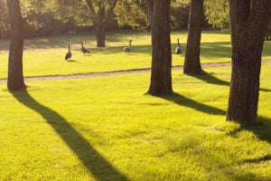 40+ Fun Things to Do With Kids This Summer in and Around Regina