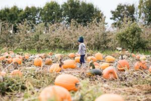 Fun Things to Do with Kids in Abbotsford