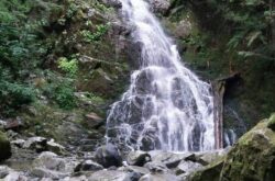 Fun Things to Do with Kids in Coquitlam