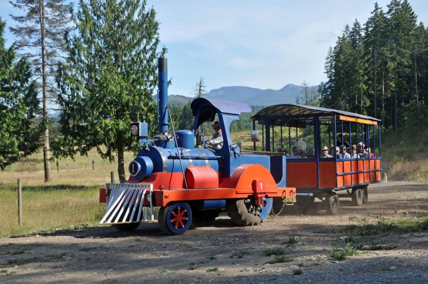 Fun Things to Do with Kids in Nanaimo