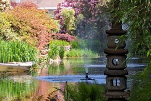 Fun Things to Do with Kids in Surrey