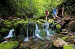 Top 10 Things to Do in Fundy National Park