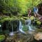 Top 10 Things to Do in Fundy National Park