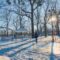 17 Coolest Outdoor Skating Trails in Ontario