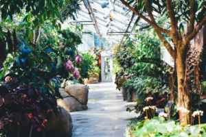 Garden Centres in and Around Edmonton