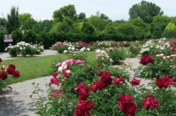Visit the Whistling Gardens