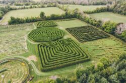 Get Lost in These Giant Hedge and Corn Mazes in and Around Ottawa