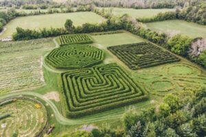 Get Lost in These Giant Hedge and Corn Mazes in and Around Ottawa