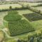 Get Lost in These Giant Hedge and Corn Mazes in and Around Ottawa