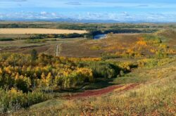 Visit Glenbow Ranch Provincial Park on a Fall Colour Day Trip From Calgary