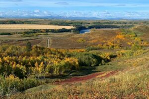 Visit Glenbow Ranch Provincial Park on a Fall Colour Day Trip From Calgary