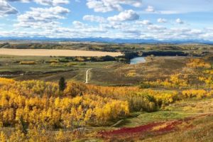 25 Day Trips for Fall in and Around Calgary