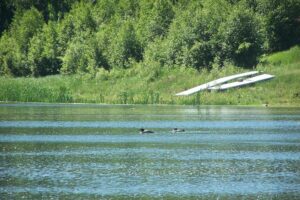 Must Visit Nature Attractions In And Around Edmonton