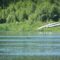 Must Visit Nature Attractions In And Around Edmonton