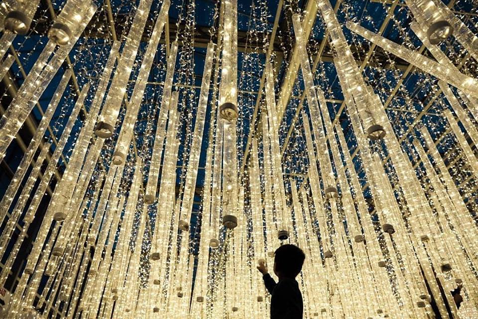 Places to See the Best Christmas Light Displays Around Edmonton 2024