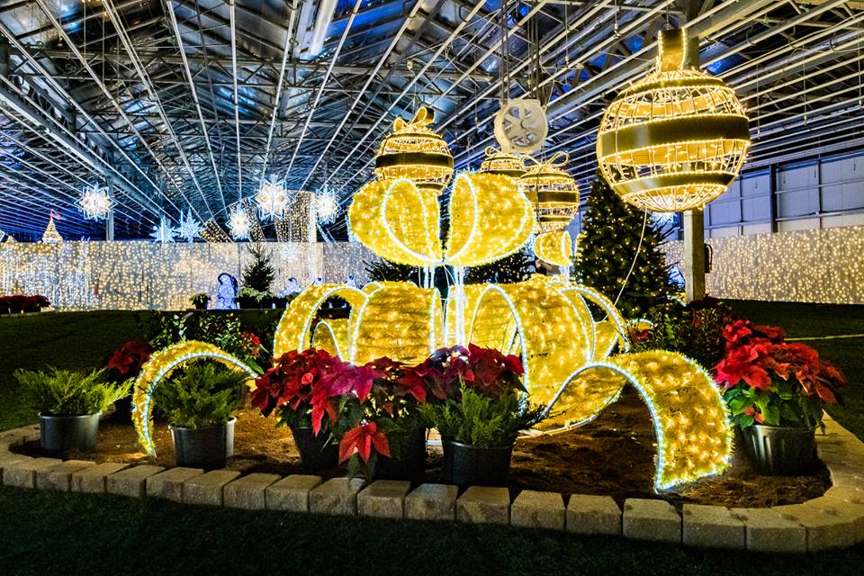 Glow Gardens | The Toronto Congress Centre - North Building, 1020