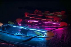 Explore Sturgeon River in Glow-in-the-Dark Kayaks From St. Albert