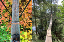 Fall Colour Adventure High Above the Forest Floor at World’s Longest Tree Canopy Walkway